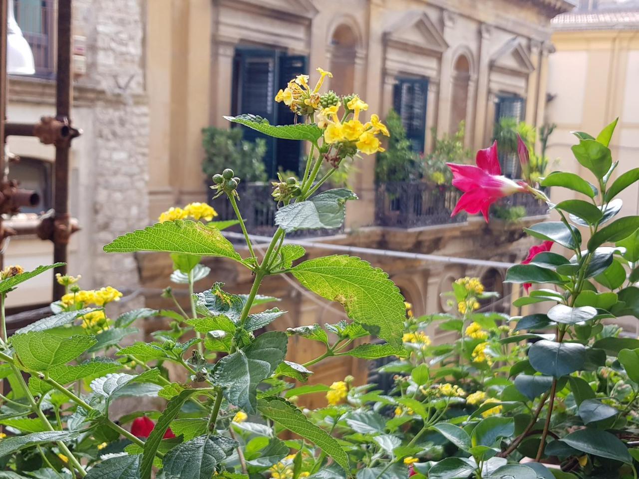 칼타니세타 Casa Coccinella B&B 외부 사진